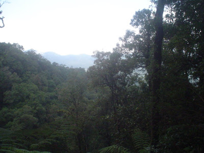 DSC01389.JPG