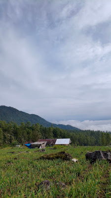 MVIMG_20250722_084005.jpg