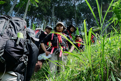 DSCF6467.JPG