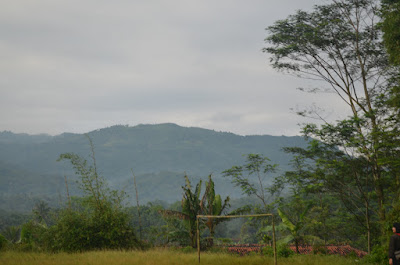 DSC_0221.JPG