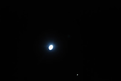 DSC_0431.JPG