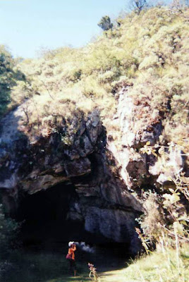 goa walet.jpg