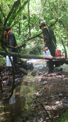 IMG_2674.JPG