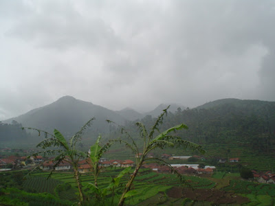 DSC00233.JPG