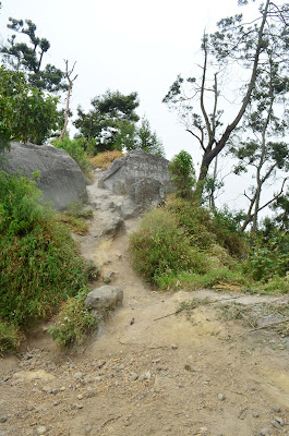 DSC_0012.JPG