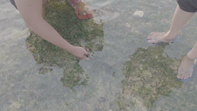 20260811_071534.mp4