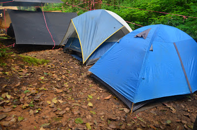 DSC_0074.JPG