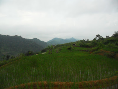 SAM_0773.JPG
