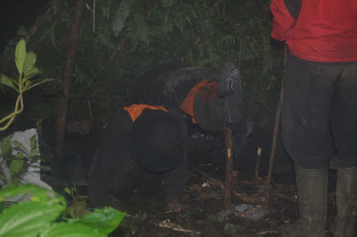 DSC_0234.JPG