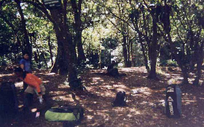 cigowong-2.jpg