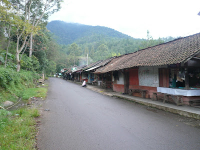 P1040778.JPG