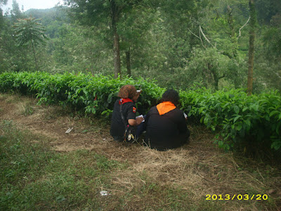 DSCI7743.JPG