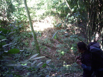 Survey PDA XIV Gunung Hutan dan SAR - 008.JPG