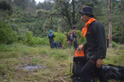 DSC_0210.JPG