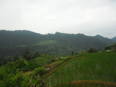 SAM_0772.JPG
