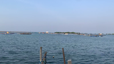 IMG_3841.MOV