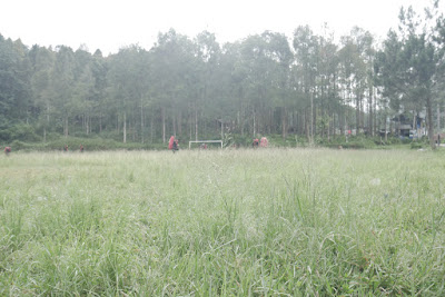 P2070561.JPG