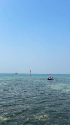 IMG_8233.MOV