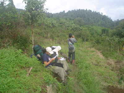 Survey PDA XIII Survival - 010.JPG