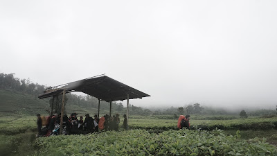 DSC08977.JPG
