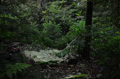 DSC_0164.JPG