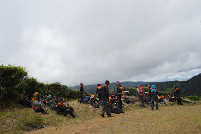 DSC_0243.JPG