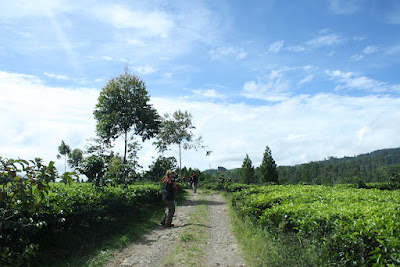 IMG_9927.JPG