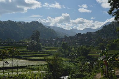 DSC_0089 - Copy.JPG