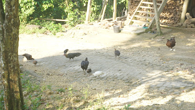 DSC02912.JPG
