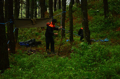 DSC_0433.JPG