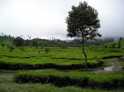 PC180045.JPG