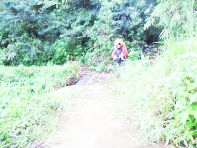 SAM_0681.JPG