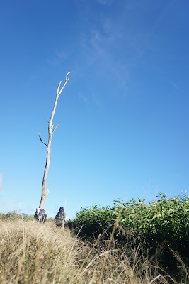 DSC02052.JPG