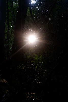 DSCF6501.JPG