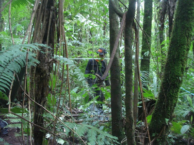 DSC02541.JPG