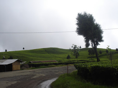 DSC05161.JPG