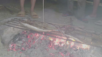 20260815_193454.mp4