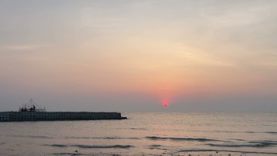 IMG_8337.MOV