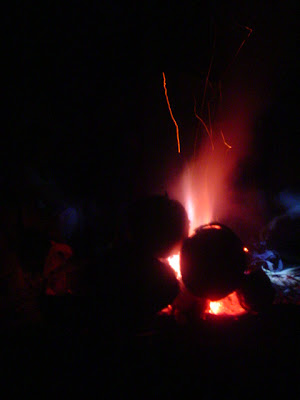 DSC01493.JPG