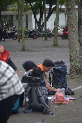 DSC_0810.JPG