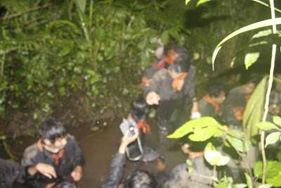 _MG_4251.JPG