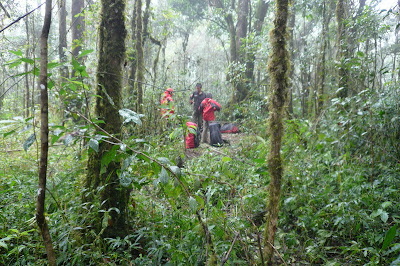P1040695.JPG