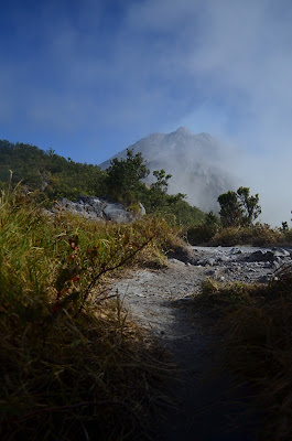 DSC_0026.JPG