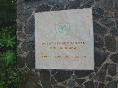 CIMG0770.JPG
