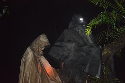 DSC_0422.JPG