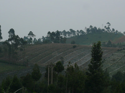 P1040862.JPG