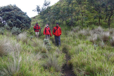 IMG_2708.JPG