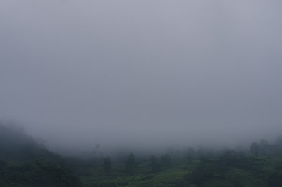 Mountaineering Course-81.jpg