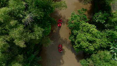 dji_fly_20260516_091228_0270_1778949587601_photo.DNG