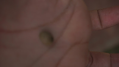 DSC03287.JPG